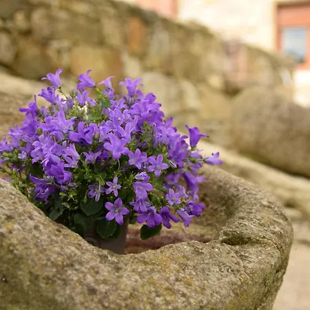 O Mirador Da Ría Casa de Férias