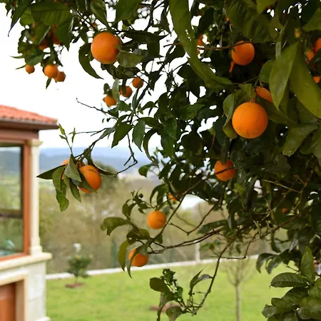 O Mirador Da Ría * Outes