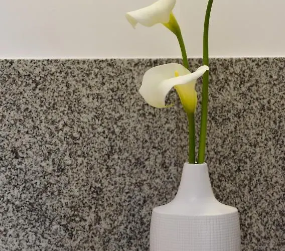 O Mirador Da Ria Feriehus *